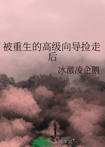 被重生的高级向导捡走后